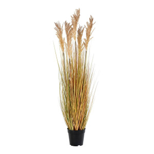 Kunstplant Sorghum Gras | House Nordic