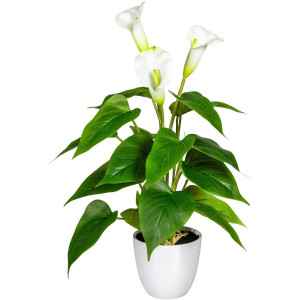 my home Kunstplant Lesum in de pot (1 stuk)