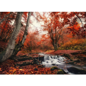 Papermoon Fotobehang Foggy forest Creek