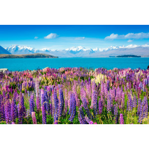 Papermoon Fotobehang Montain Lake with Flowers