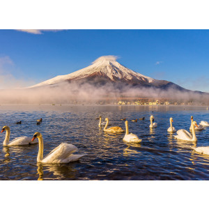 Papermoon Fotobehang Mount Fuji