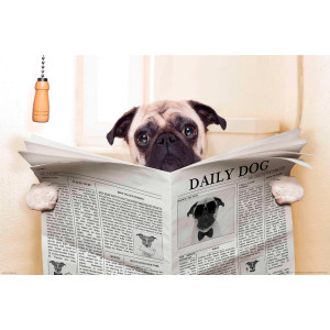 Papermoon Fotobehang Newspaper Dog