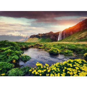 Papermoon Fotobehang Seljalandfoss waterfall Iceland