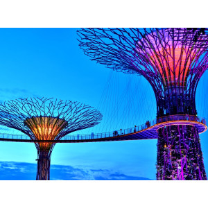 Papermoon Fotobehang Singapore Bay Supertrees