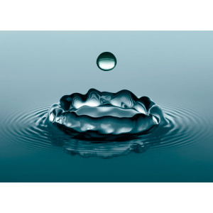 Papermoon Fotobehang Water Droplets