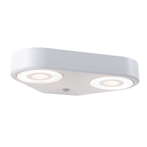 Paulmann Led-wandlamp voor buiten Silma IP44 280x176mm 3000K 2x5,5 / 2x0,7W 2x600lm 230V Aluminium (1 stuk)