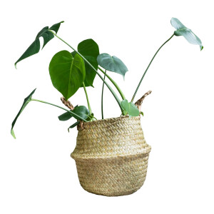 QUVIO Decoratieve opbergmand van vlas met handvaten - 26 x 25 cm