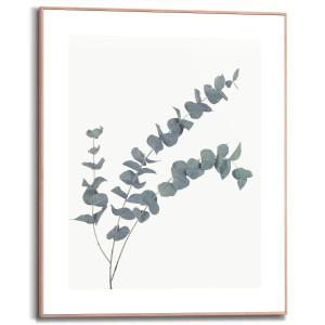 Reinders! Artprint met lijst Eucalyptus