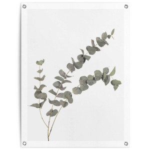 Reinders! Poster Eucalyptus Outdoor voor tuin of balkon