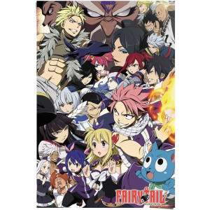 Reinders! Poster Fairy tail seizoen 6