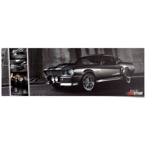Reinders! Poster Ford Easton Mustang GT500