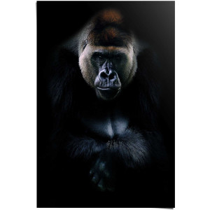 Reinders! Poster Gorilla Gorilla