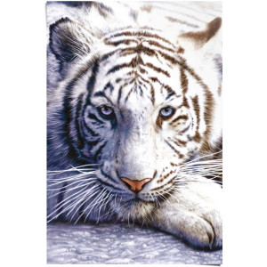Reinders! Poster Witte tijger