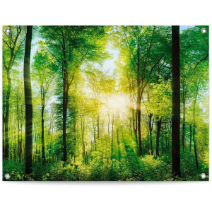 Reinders! Poster Zomerbos