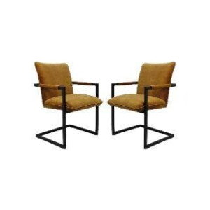 Set van 2 eetkamerstoelen Boston velvet | HSM Collection