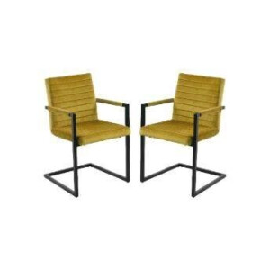 Set van 2 eetkamerstoelen Colorado velvet | HSM Collection
