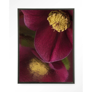 Urban Cotton Wandkleed 'Weerspiegeling Van Een Kerstroos' 145 x 190cm in Floating Frame - black
