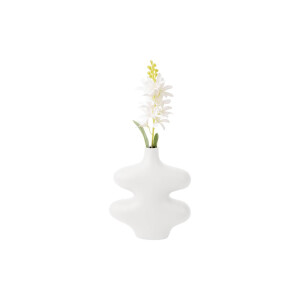 Vaas Organic Curves | Present Time