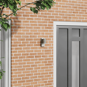 vidaXL Buiten Wandlamp Zilver Roestvrijstaal IP44