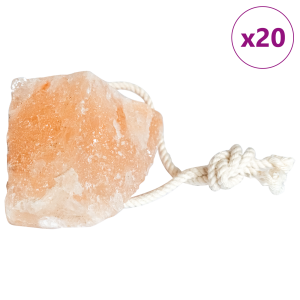 vidaXL Zoutlikstenen 20 st met koorden voor vee 2,5 kg roze