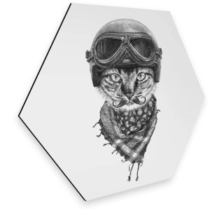 Wall-Art Metalen artprint Biker kat wanddecoratie kattenartprint (1 stuk)