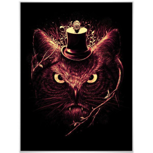 Wall-Art Poster Nicebleed Meowl kat uil magie (1 stuk)