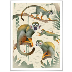 Wall-Art Poster Squirrel Monkeys Poster zonder lijst (1 stuk)