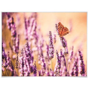 Wall-Art Poster Vlinder lavendel Poster zonder lijst (1 stuk)
