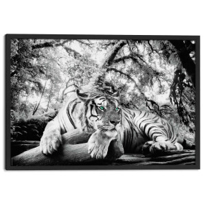 Wanddecoratie Tijger | Orangewallz